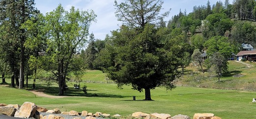 Adams Springs Golf Course photo