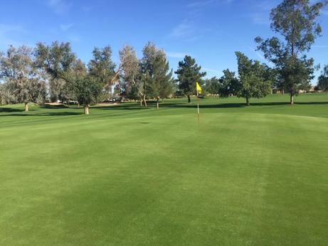 Apache Sun Golf Club photo