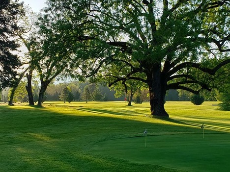 Applegate River Golf Club photo