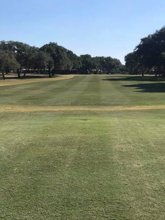 Beeville Country Club photo