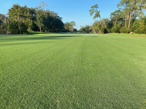 Blue Cypress Golf Course photo