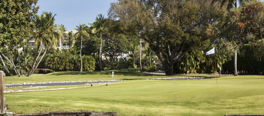 Cheeca Lodge Golf Course photo