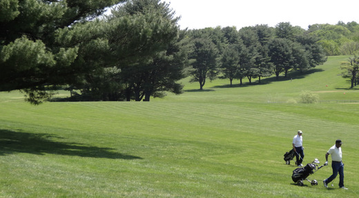 Clayton Park Golf Course photo