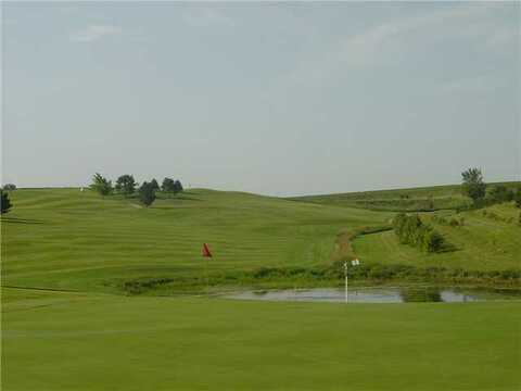 Club 91 Golf Course photo