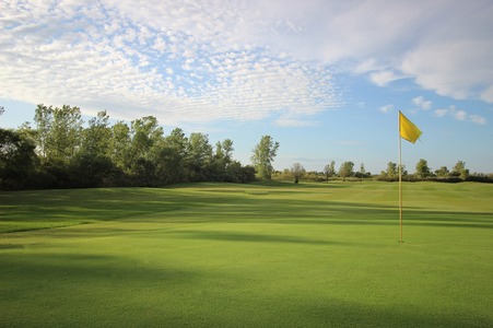 Country Drive Golf Course photo