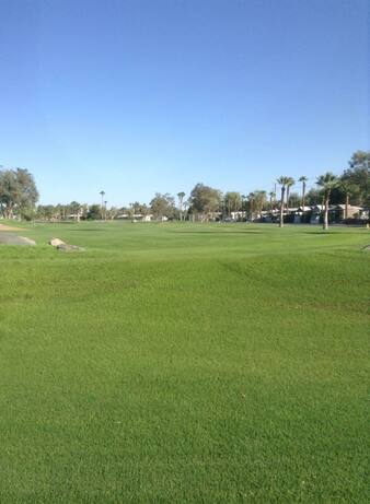 Desert Trails Rv Park & Golf Course photo