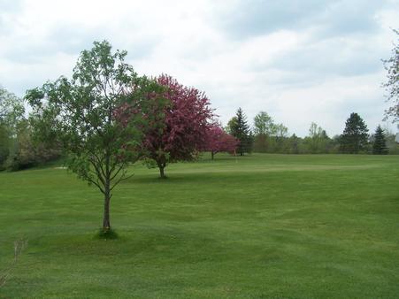 Devil's Knob Golf Course photo