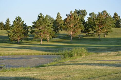 Eureka Municipal Golf Course photo