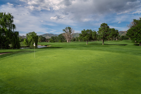 Forest Dale Golf Course photo