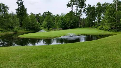 Forest Point Resort Golf Course photo