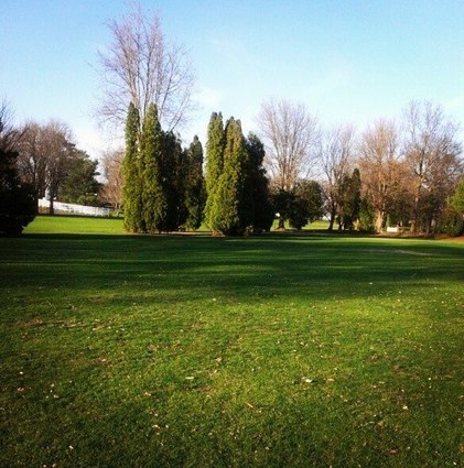 Four Willows Golf Course photo