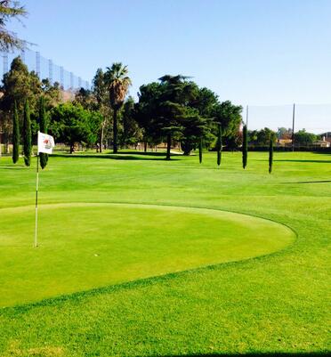 Glen Oaks Golf Course photo