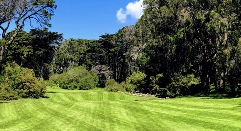 Golden Gate Park Golf Course photo