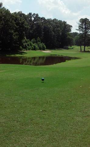 Hardeman County Golf & Country Club photo