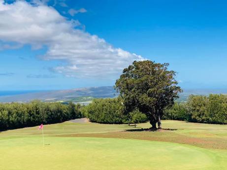 Ironwood Hills Golf Club photo