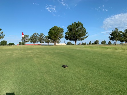 Jacksboro Golf Course photo