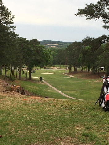 Jackson Links Golf Course photo