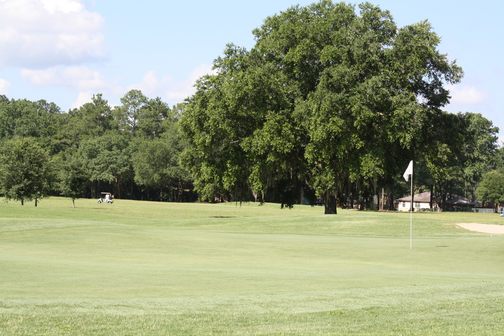 Jake Gaither Golf Course photo