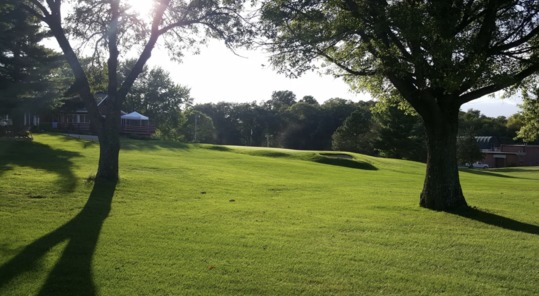 Kernoustie Golf Club photo
