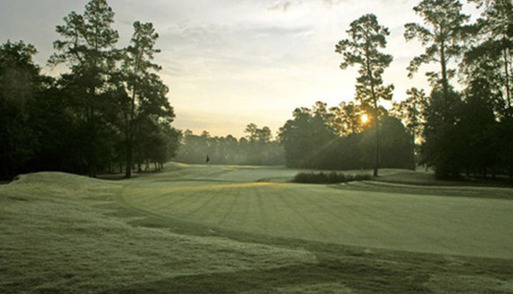 Longwood Golf Club photo