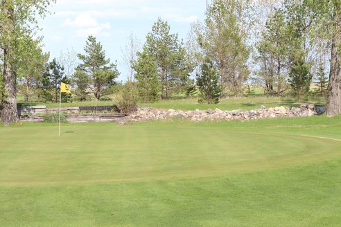McVille Country Club photo