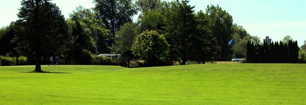 Meadowlawn Golf Course photo
