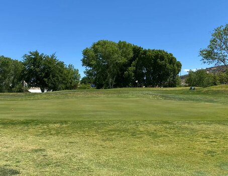 Mesa View Golf Course photo