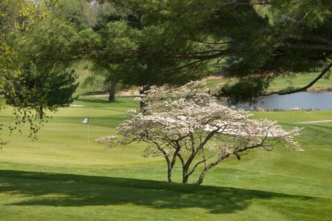 Needwood Golf Course - Executive photo