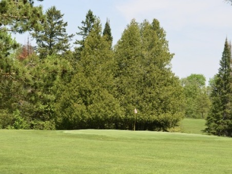 Pattison Park Golf Course photo
