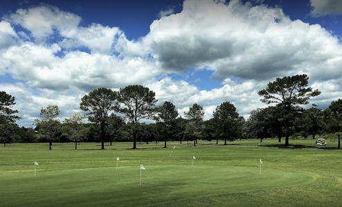 Pebble Creek Golf Club photo