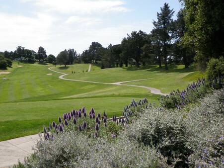 Petaluma Golf & Country Club photo