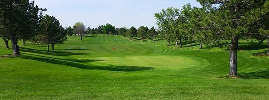 Pierce Community Golf Course photo