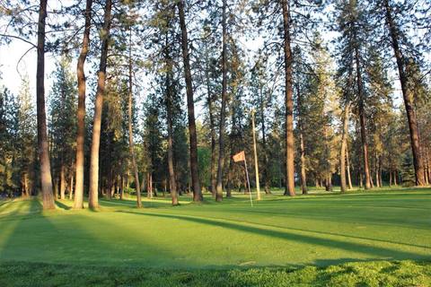 Pine Acres Par 3 Golf Course photo