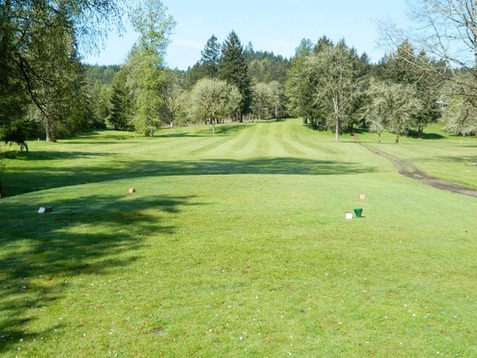 Pineway Golf Course photo