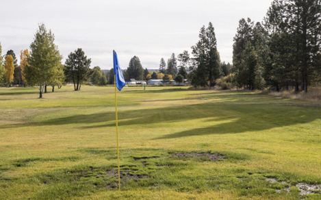 Round Lake Resort Golf Course photo