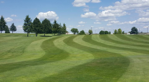 Royal City Golf Course photo