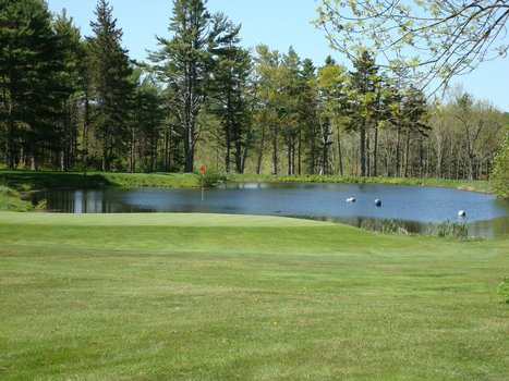 Searsport Pines Golf Course photo