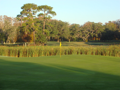 Summertree Golf Club photo