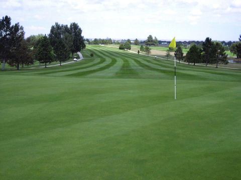 Tamarack Golf Club photo