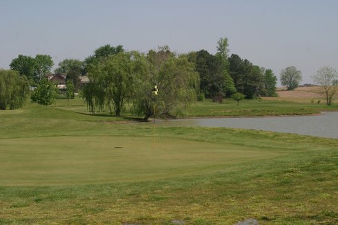 Tee Time Golf Course photo