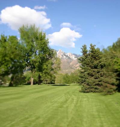 The Cottonwood Country Club photo