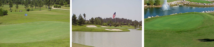The Links at Texarkana Golf & Athletic Club photo