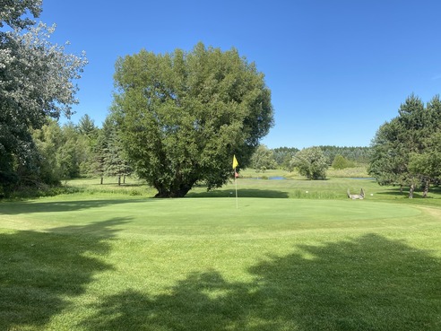 The Pines at Fairview Golf Club photo