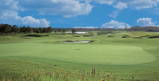 Thistle Golf Club photo