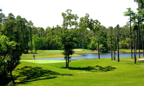 Tupelo Bay Golf Center - Par 3 Course photo