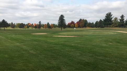 Willow Tree Golf Course photo